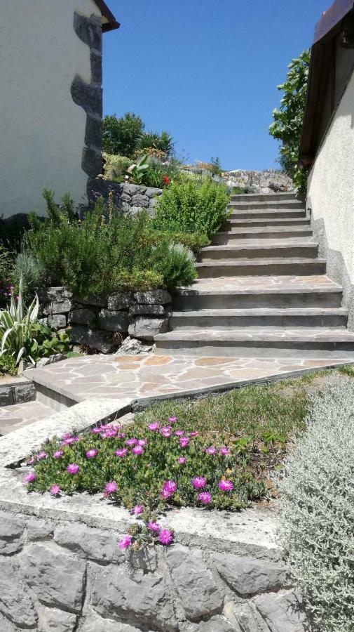 Holiday Home Demark Jurdani Dış mekan fotoğraf
